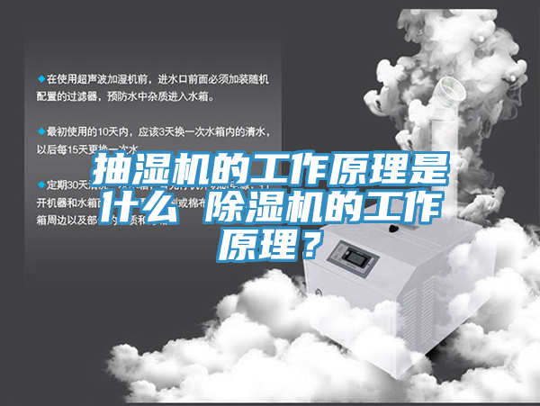 抽湿机的工作原理是什么 91免费网站在线观看的工作原理？