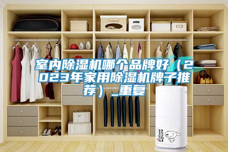 室内91免费网站在线观看哪个品牌好（2023年家用91免费网站在线观看牌子推荐）_重复