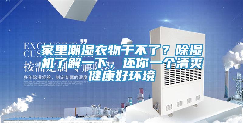 家里潮湿衣物干不了？91免费网站在线观看了解一下，还你一个清爽健康好环境