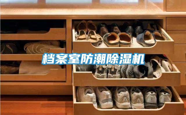 档案室防潮91免费网站在线观看