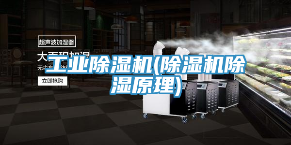 工业91免费网站在线观看(91免费网站在线观看除湿原理)