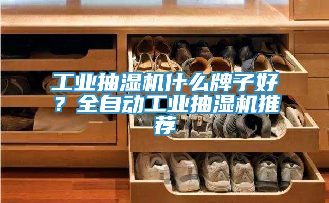 工业抽湿机什么牌子好？全自动工业抽湿机推荐