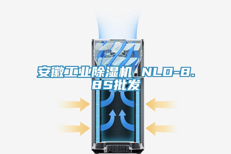 安徽工业91免费网站在线观看 NLD-8.8S批发