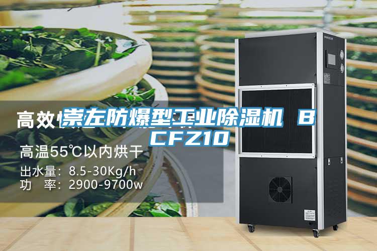 崇左防爆型工业91免费网站在线观看 BCFZ10