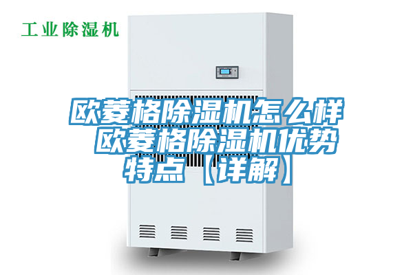 欧菱格91免费网站在线观看怎么样 欧菱格91免费网站在线观看优势特点【详解】
