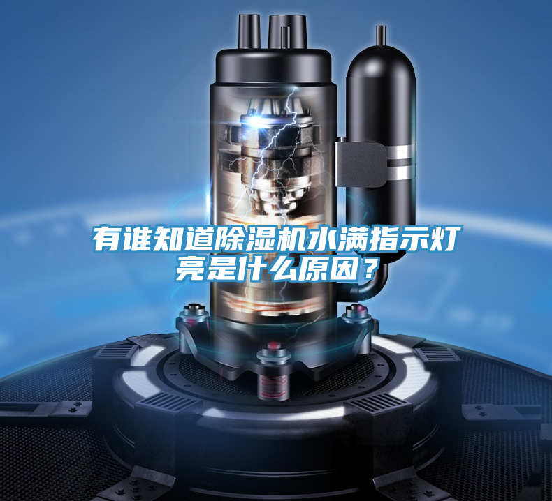 有谁知道91免费网站在线观看水满指示灯亮是什么原因？