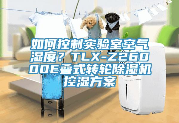 如何控制实验室空气湿度？TLX-Z26000E叠式转轮91免费网站在线观看控湿方案