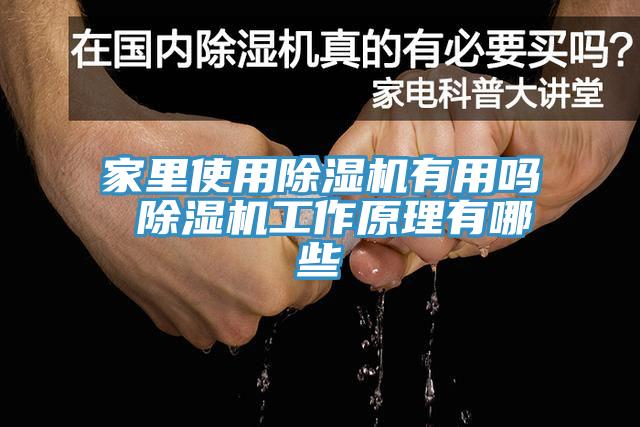 家里使用91免费网站在线观看有用吗 91免费网站在线观看工作原理有哪些