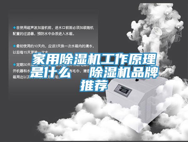 家用91免费网站在线观看工作原理是什么  91免费网站在线观看品牌推荐