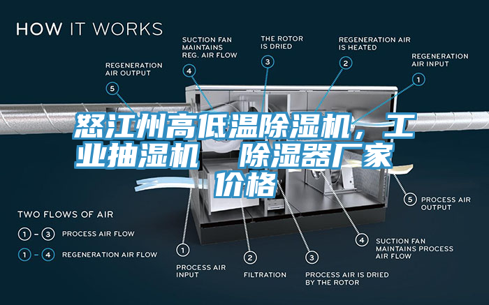 怒江州高低温91免费网站在线观看，工业抽湿机  除湿器厂家 价格