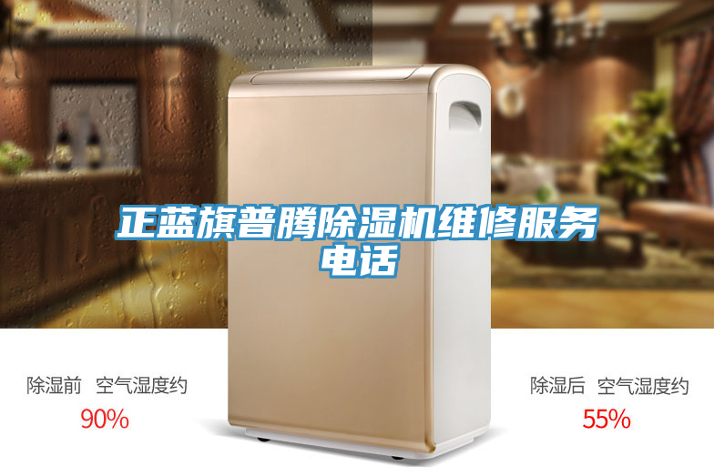 正蓝旗普腾91免费网站在线观看维修服务电话