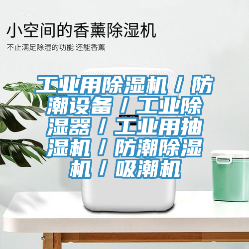 工业用91免费网站在线观看／防潮设备／工业除湿器／工业用抽湿机／防潮91免费网站在线观看／吸潮机