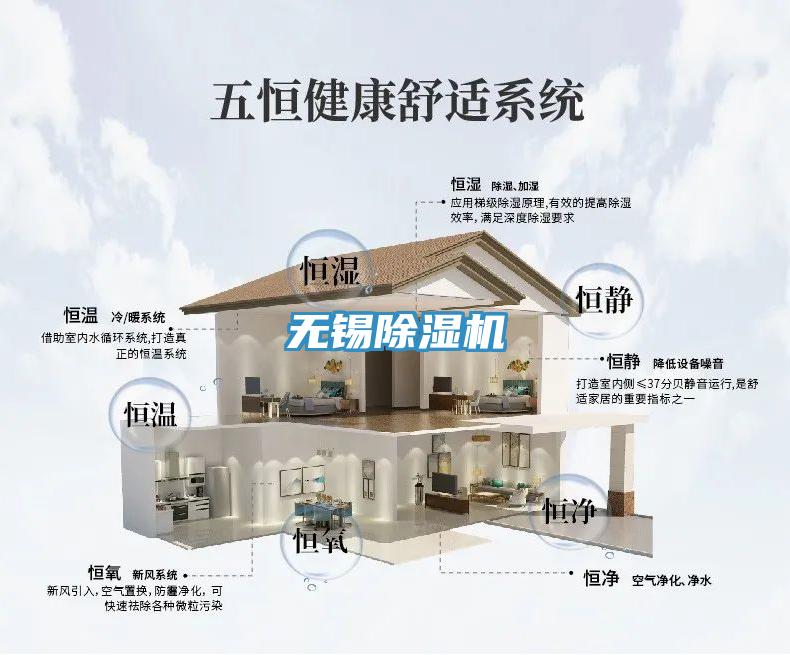 无锡91免费网站在线观看