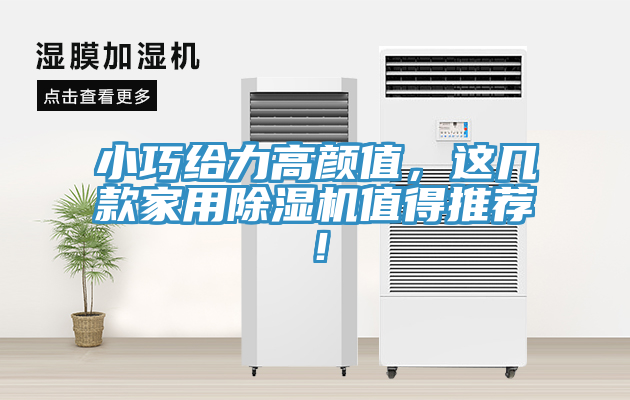 小巧给力高颜值，这几款家用91免费网站在线观看值得推荐！