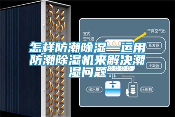 怎样防潮除湿—运用防潮91免费网站在线观看来解决潮湿问题