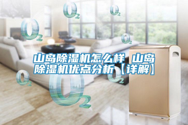 山岛91免费网站在线观看怎么样 山岛91免费网站在线观看优点分析【详解】