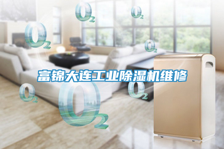 富锦大连工业91免费网站在线观看维修