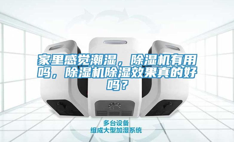 家里感觉潮湿，91免费网站在线观看有用吗，91免费网站在线观看除湿效果真的好吗？