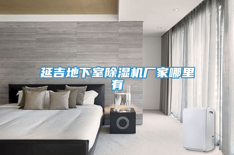 延吉地下室91免费网站在线观看厂家哪里有