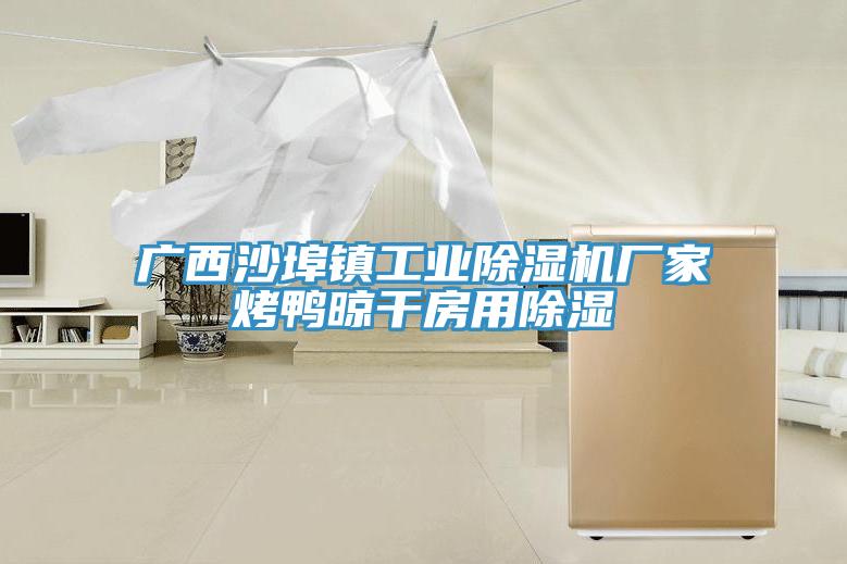 广西沙埠镇工业91免费网站在线观看厂家烤鸭晾干房用除湿