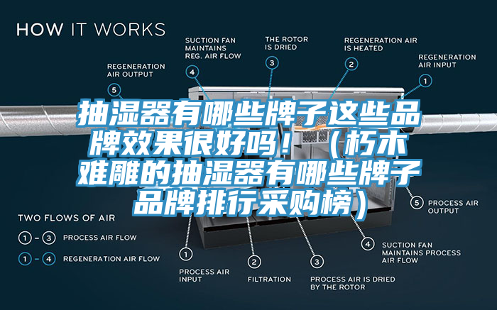 抽湿器有哪些牌子这些品牌效果很好吗！（朽木难雕的抽湿器有哪些牌子品牌排行采购榜）