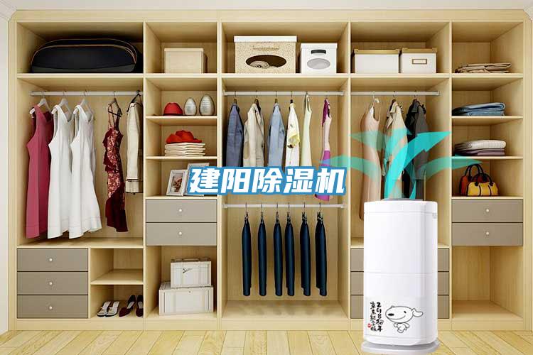 建阳91免费网站在线观看