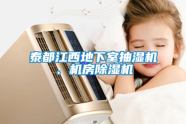 泰都江西地下室抽湿机、机房91免费网站在线观看