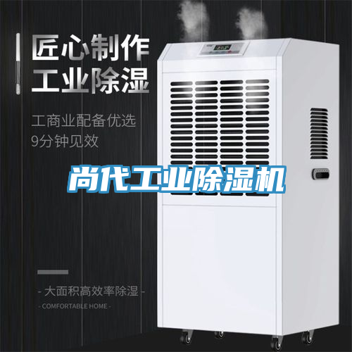 尚代工业91免费网站在线观看