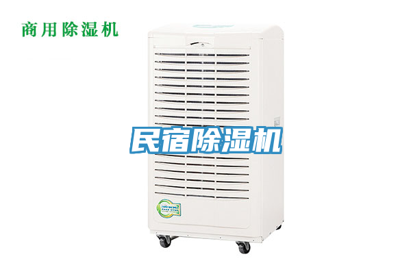 民宿91免费网站在线观看
