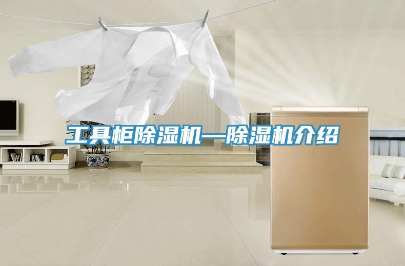工具柜91免费网站在线观看—91免费网站在线观看介绍