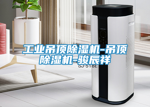 工业吊顶91免费网站在线观看-吊顶91免费网站在线观看-骏辰祥
