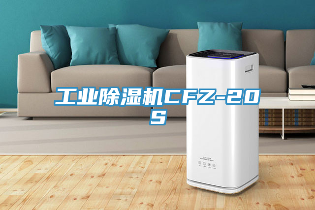 工业91免费网站在线观看CFZ-20S