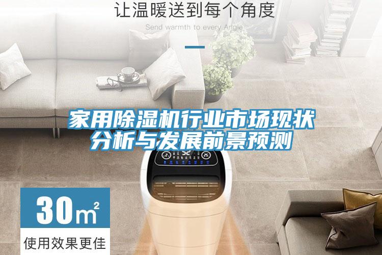 家用91免费网站在线观看行业市场现状分析与发展前景预测