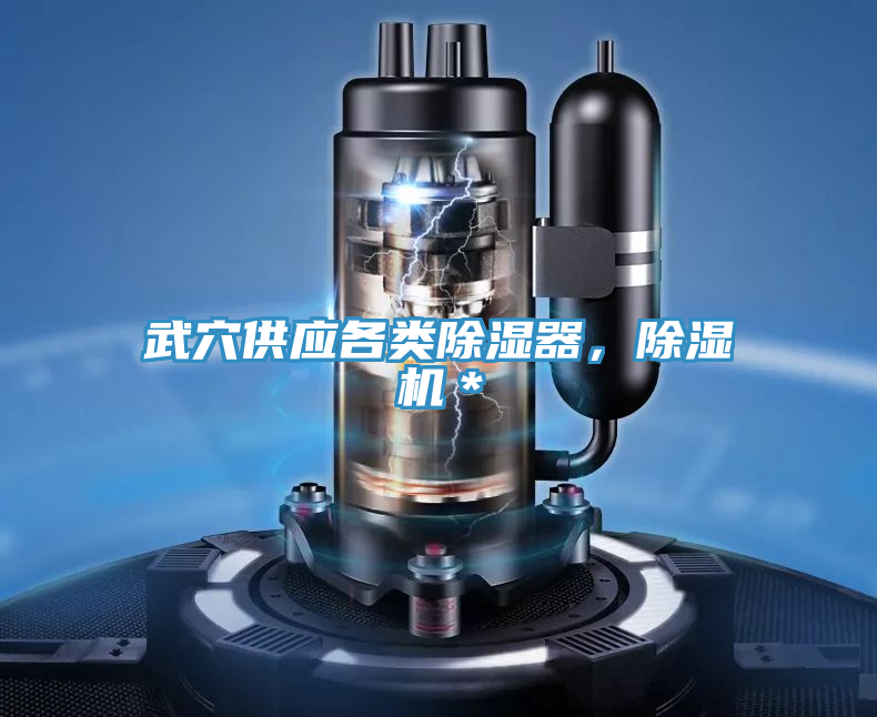 武穴供应各类除湿器，91免费网站在线观看＊
