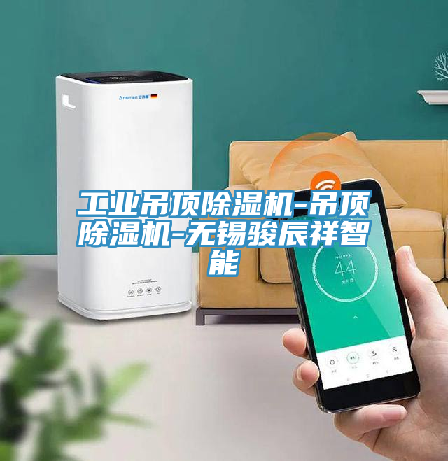 工业吊顶91免费网站在线观看-吊顶91免费网站在线观看-无锡骏辰祥智能