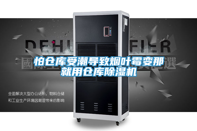 怕仓库受潮导致烟叶霉变那就用仓库91免费网站在线观看