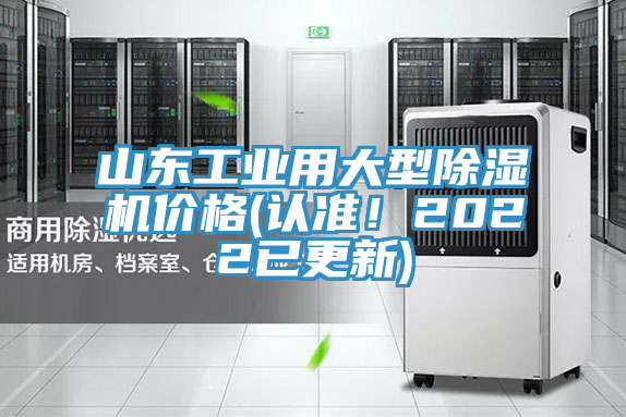 山东工业用大型91免费网站在线观看价格(认准！2022已更新)