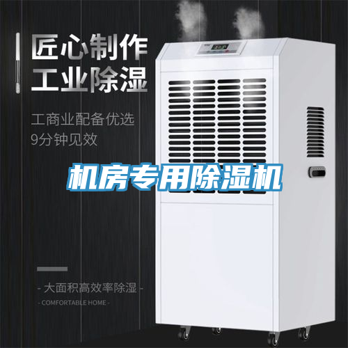机房专用91免费网站在线观看