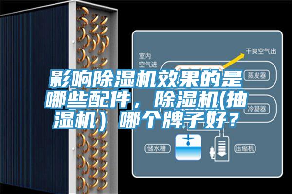 影响91免费网站在线观看效果的是哪些配件，91免费网站在线观看(抽湿机）哪个牌子好？