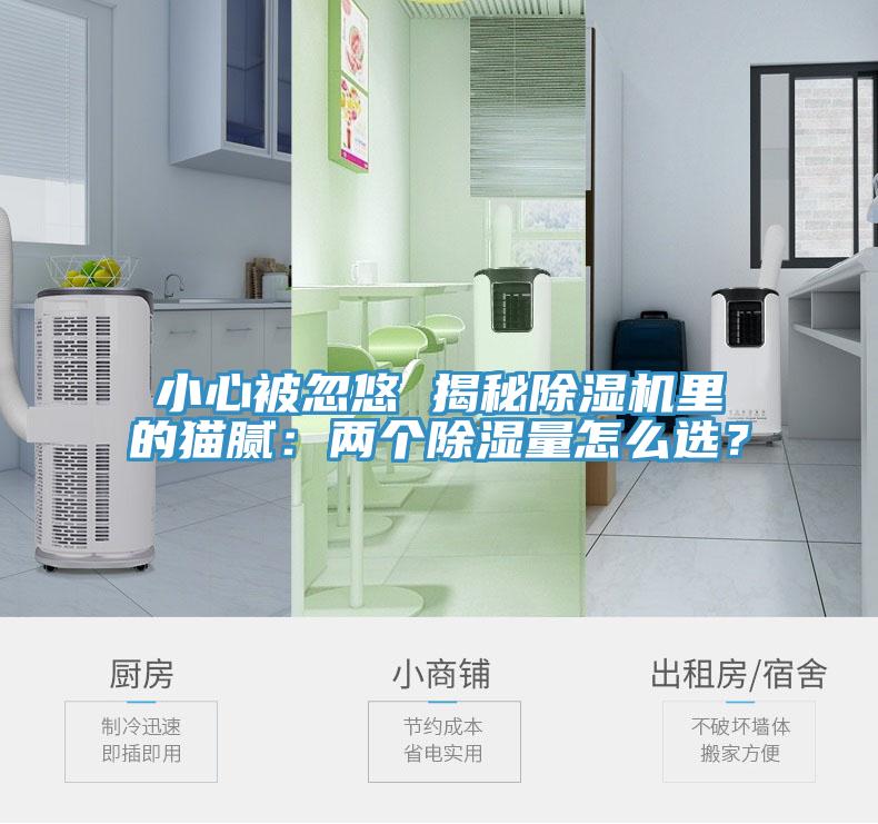 小心被忽悠 揭秘91免费网站在线观看里的猫腻：两个除湿量怎么选？