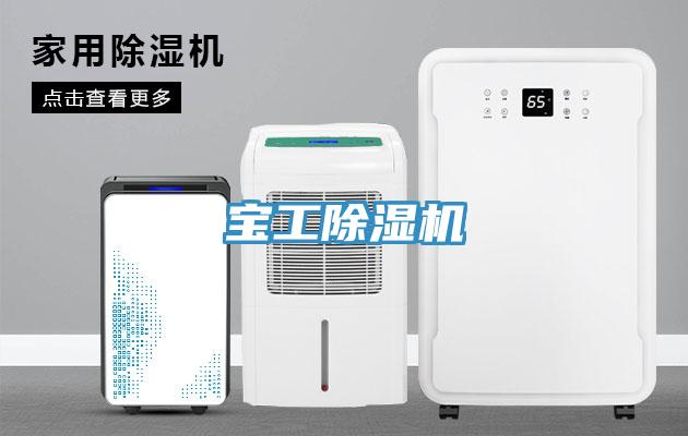 宝工91免费网站在线观看