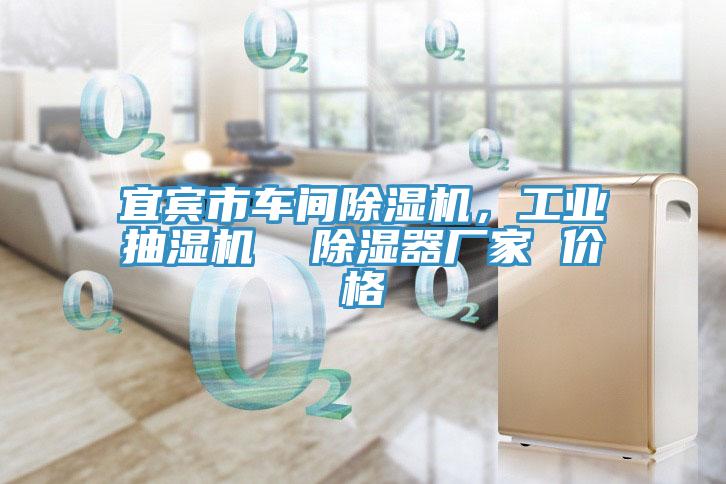宜宾市车间91免费网站在线观看，工业抽湿机  除湿器厂家 价格