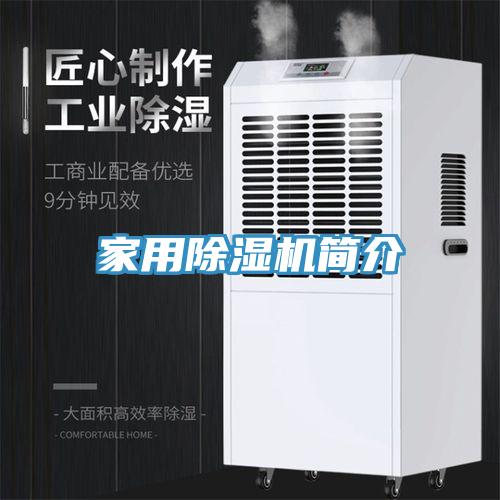 家用91免费网站在线观看简介