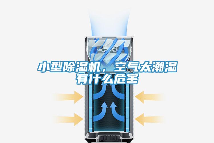 小型91免费网站在线观看，空气太潮湿有什么危害