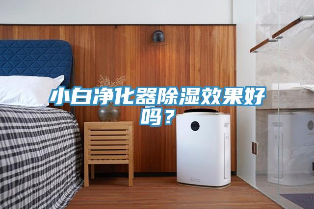 小白净化器除湿效果好吗？