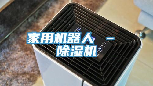 家用机器人 – 91免费网站在线观看