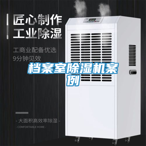 档案室91免费网站在线观看案例