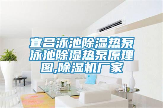 宜昌泳池除湿热泵泳池除湿热泵原理图,91免费网站在线观看厂家