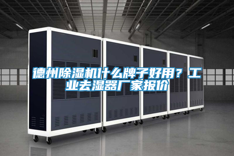 德州91免费网站在线观看什么牌子好用？工业去湿器厂家报价
