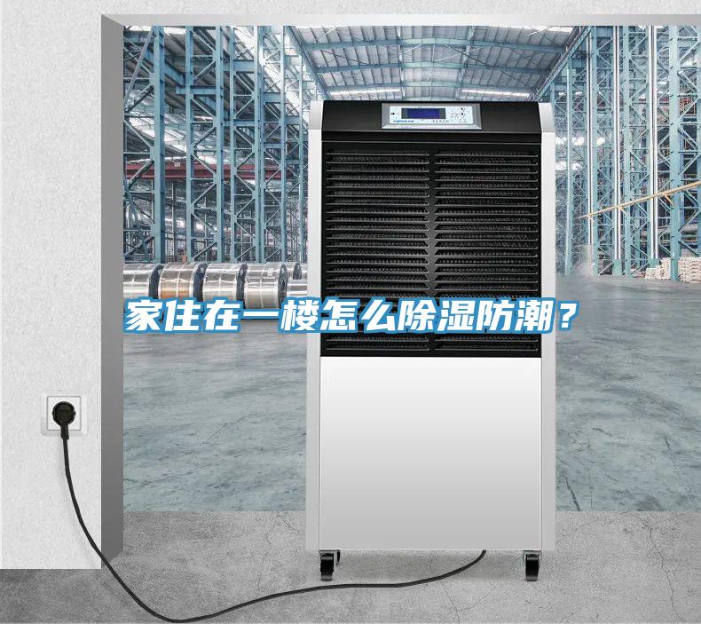 家住在一楼怎么除湿防潮？